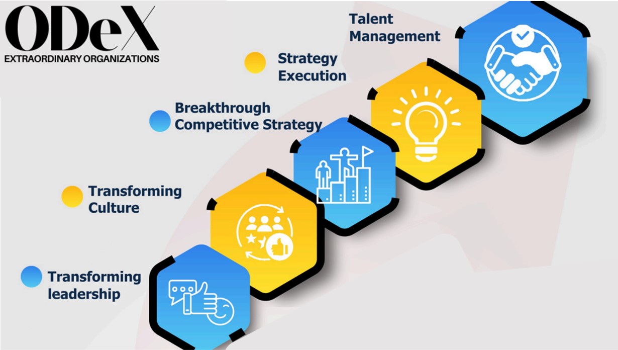 ODeX Extraordinary Organizations